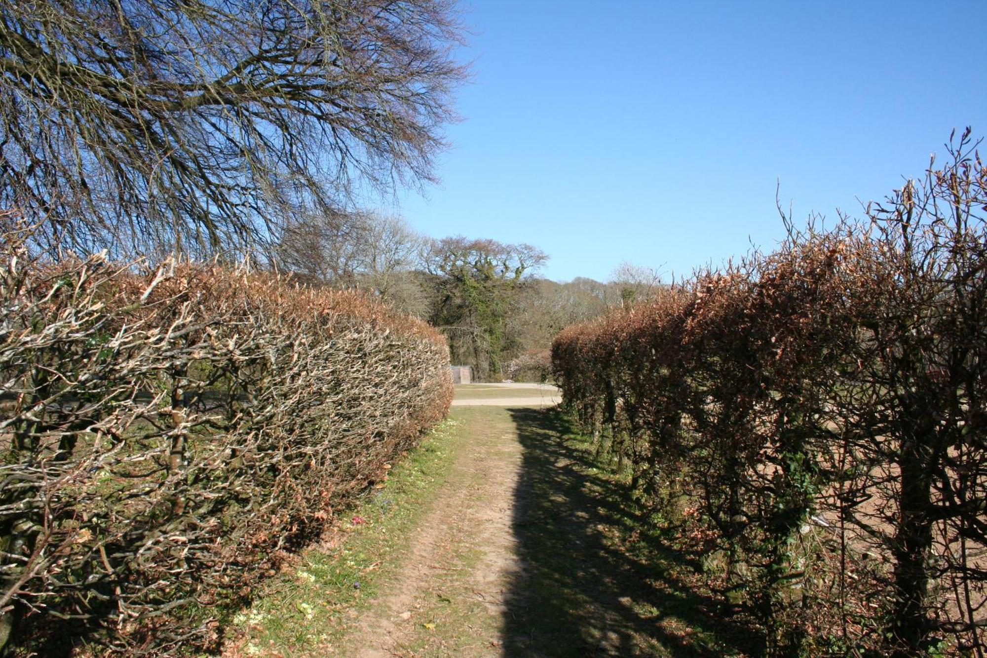 Great Trethew Manor Hotel & Self Catering Lodges リスカード エクステリア 写真