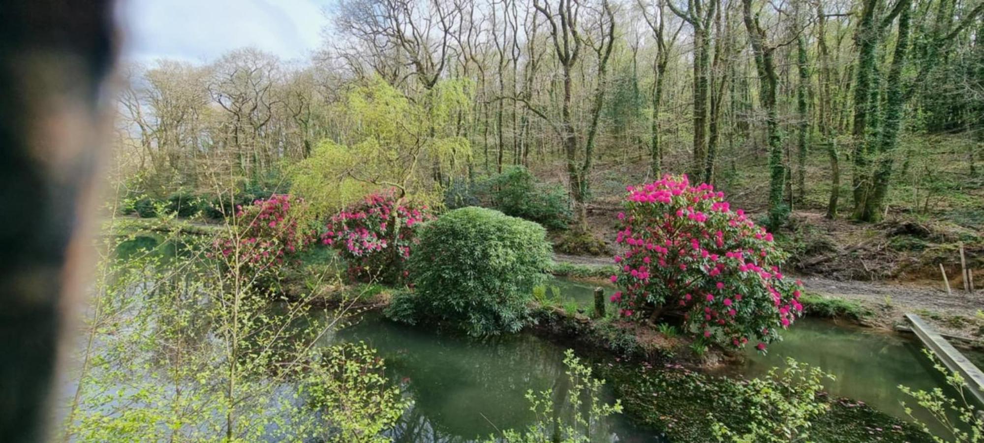 Great Trethew Manor Hotel & Self Catering Lodges リスカード エクステリア 写真
