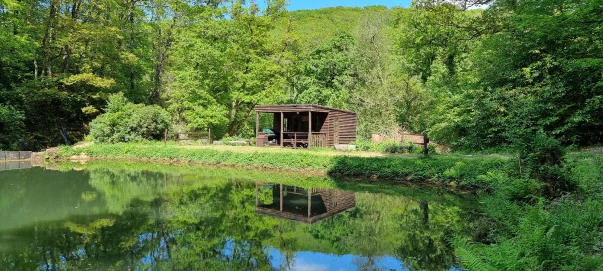 Great Trethew Manor Hotel & Self Catering Lodges リスカード エクステリア 写真