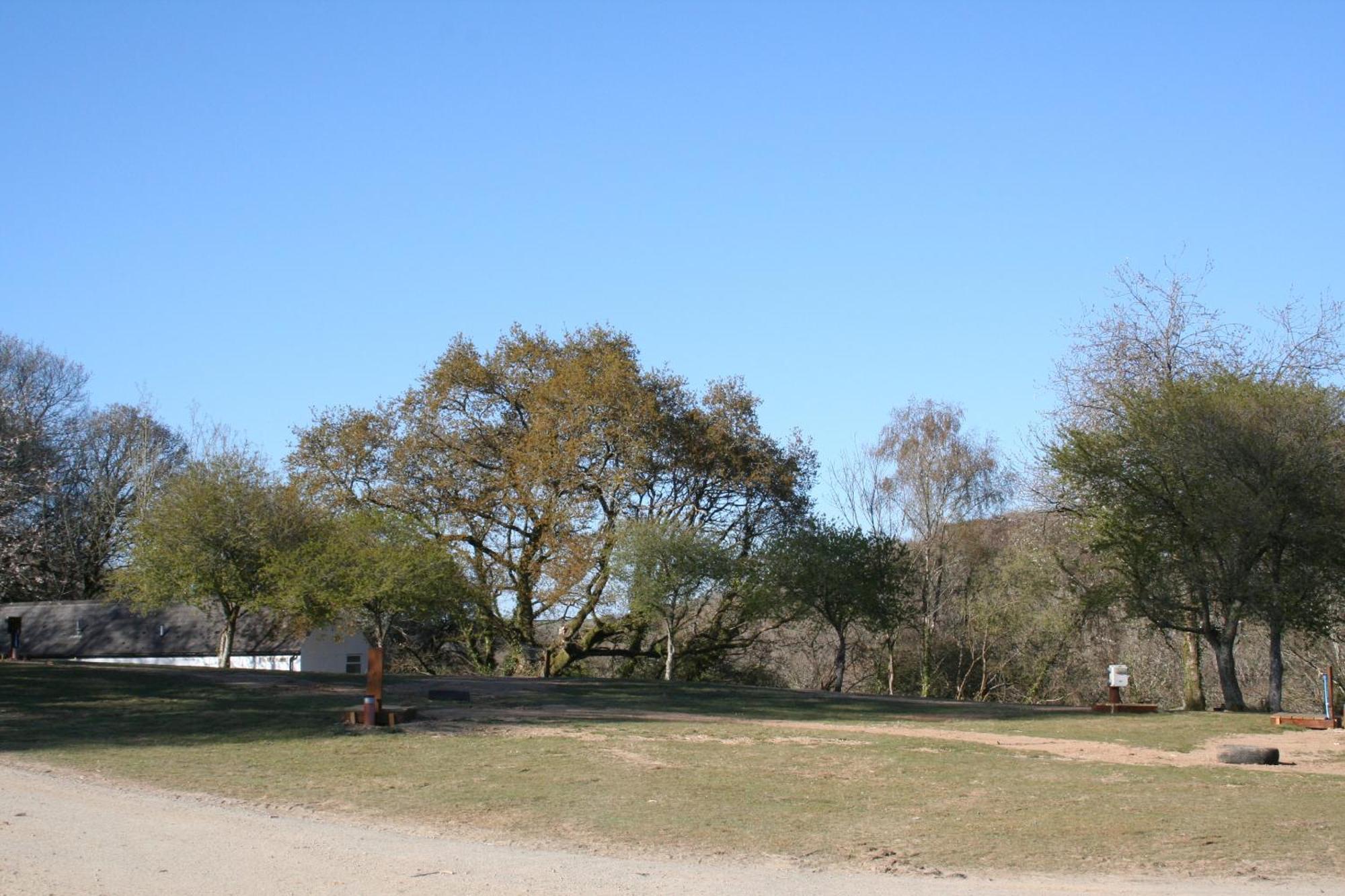Great Trethew Manor Hotel & Self Catering Lodges リスカード エクステリア 写真